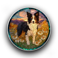 Border Collie Dog Puppy