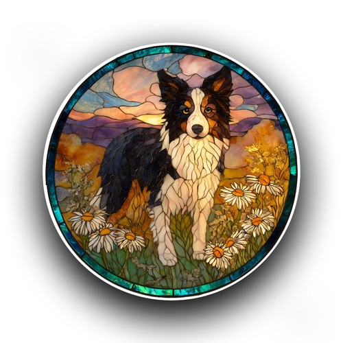 Border collie dog puppy - border,
