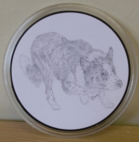 Border collie keyrings - collie,