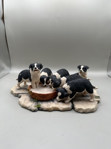 Border fine arts collie - border,