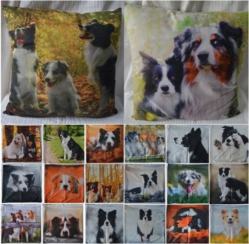 Border collie cushion cover - cover, 45