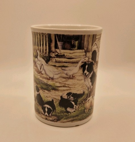 Border collie and puppies farm - collie,