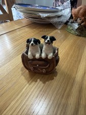 two puppy border collies in
