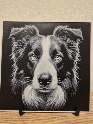 Border collie puppy hueforge - border,