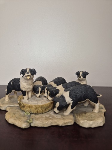 Border fine arts collie - border,