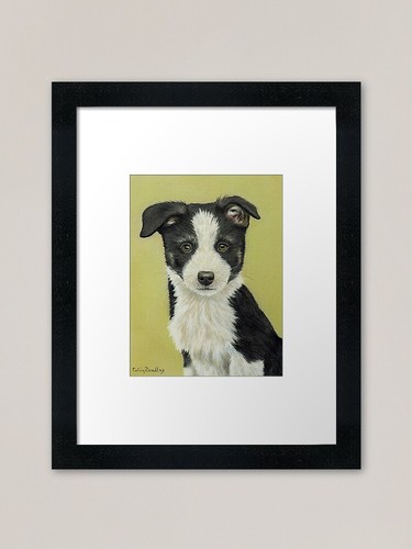 Border collie puppy framed art - border,