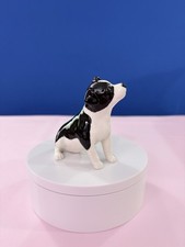 Border Collie Puppy - John