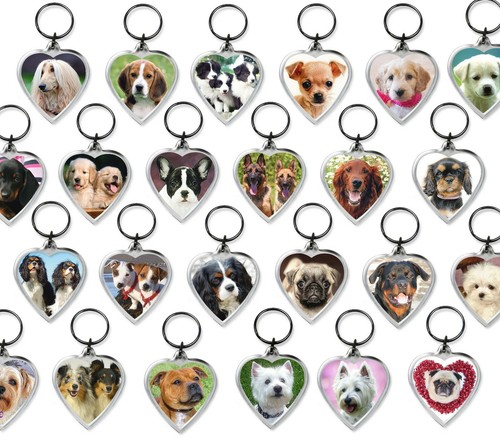 Dog keyrings heart - keyrings,