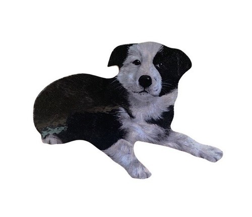 Border collie puppy - magnet,
