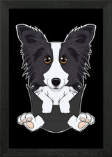 Border Collie Puppy Pocket