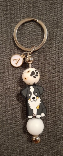 Border collie puppy - ,