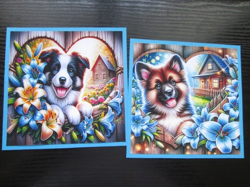 Set border collie - border, &