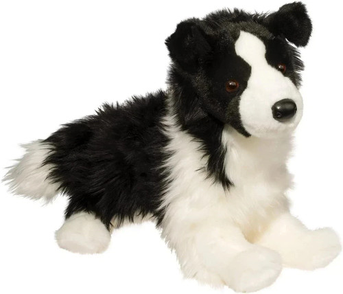 Douglas chase border collie - chase,
