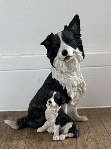 Border collie with puppy - collie,