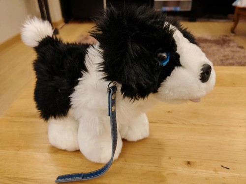 Keel toys border collie - , cuddle