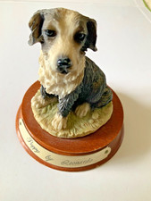 Puppy Border Collie By