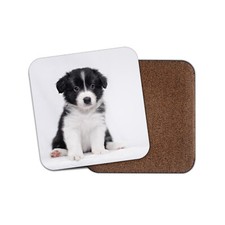 Border Collie Puppy Coaster -